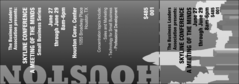 Houston General Admission Ticket (Black and white)