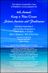 Nature Series - Blue Ocean Poster with tons of space for event details and serene background.