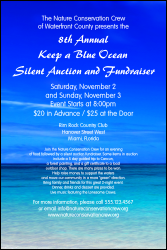 Nature Series - Blue Ocean Poster