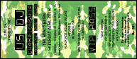 Camouflage Green White Yellow VIP Pass has sequential secure numbering.