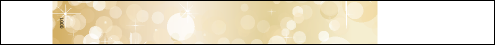 Gold Glitter Stocked Tyvek Pro Wristband (300 pack)
