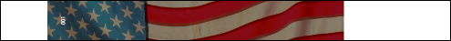 Fourth of July Stocked Tyvek Pro Wristband (300 pack)