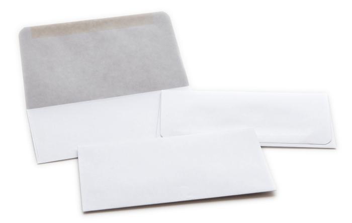 White Wove Envelope #6